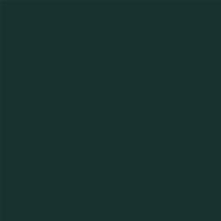 ACDelco Bottle Green Metallic Touch-Up Paint 19367851
