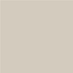 ACDelco Cappuccino Frost Metallic Touch-Up Paint 19367855