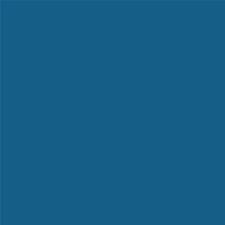 ACDelco Bluestream Tintcoat Touch-Up Paint 19367874