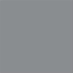 ACDelco Sebring Silver Metallic Touch-Up Paint 19367880