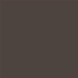 ACDelco Paragon Bronze Metallic Touch-Up Paint 19367881