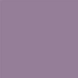 ACDelco Majestic Amethyst Metallic Touch-Up Paint 19367889