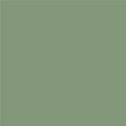 ACDelco Silver Green Metallic Touch-Up Paint 19367902