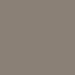 ACDelco Gold Slate Metallic Touch-Up Paint 19367907