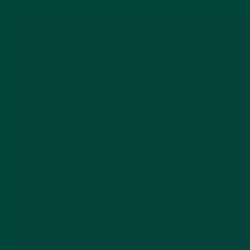 ACDelco Emerald Jewel Metallic Touch-Up Paint 19367908
