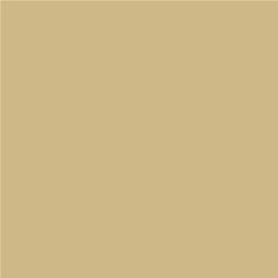 ACDelco Cashmere Metallic Touch-Up Paint 19367914