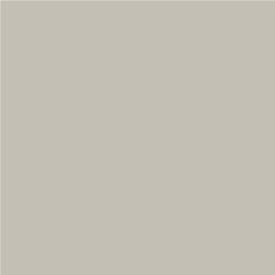 ACDelco Snowflake White Pearl Touch-Up Paint 19367934