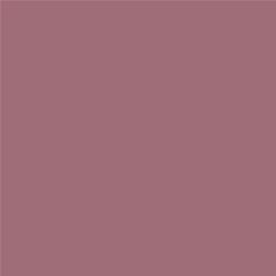 ACDelco Luscious Pink Touch-Up Paint 19367936