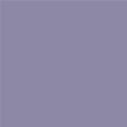 ACDelco Secret Lavender Touch-Up Paint 19367940