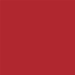 ACDelco Flame Red Touch-Up Paint 19367943