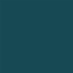 ACDelco Marlin Green Metallic Touch-Up Paint 19367944
