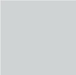 ACDelco Heron White Touch-Up Paint 19367954
