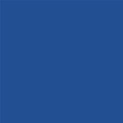 ACDelco Slipstream Blue Touch-Up Paint 19367966