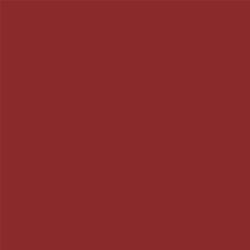 ACDelco Paprika Red Touch-Up Paint 19367970