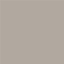 ACDelco Creamy Beige Metallic Touch-Up Paint 19367975