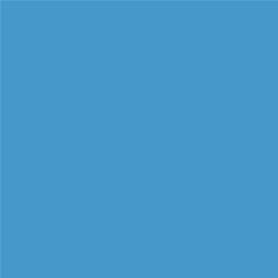 ACDelco Blue A Go-Go Touch-Up Paint 19367989