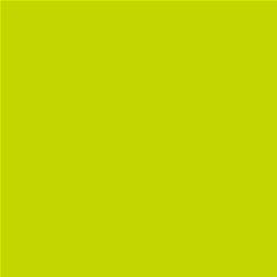 ACDelco Fresh Green Lime Touch-Up Paint 19367993