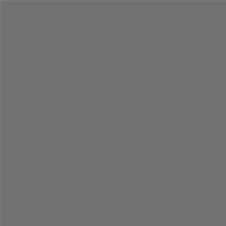 ACDelco Alto Gray Metallic Touch-Up Paint 19367994