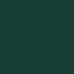 ACDelco Regal Peacock Touch-Up Paint 19367996