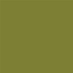 ACDelco Jungle Fever Touch-Up Paint 19368002