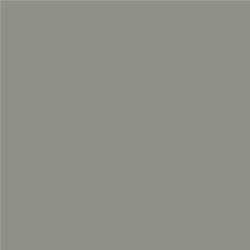 ACDelco Pewter Gray Metallic Touch-Up Paint 19368013