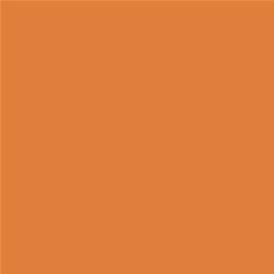 ACDelco Light My Fire Orange Touch-Up Paint 19368019
