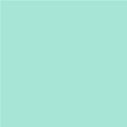 ACDelco Mint My Mind Touch-Up Paint 19368020