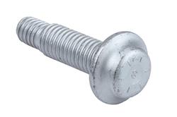 ACDelco - Bolts and Screws for 2019-2024 SILVERADO 4500 HD, SILVERADO 5500 HD, SILVERADO 6500 HD - 19404729