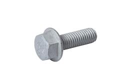 ACDelco Bolts and Screws 19404731
