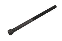ACDelco - Bolts and Screws for 2019-2024 SILVERADO 4500 HD, SILVERADO 5500 HD, SILVERADO 6500 HD - 19405339