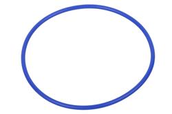 ACDelco O-Rings 19405645
