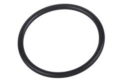ACDelco - O-Rings for 2019-2024 SILVERADO 4500 HD, SILVERADO 5500 HD, SILVERADO 6500 HD - 19406055