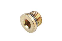 ACDelco - Plug Fittings for 2019-2024 SILVERADO 4500 HD, SILVERADO 5500 HD, SILVERADO 6500 HD - 19409343