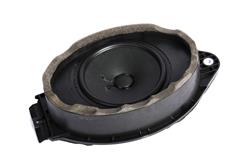 ACDelco Radio Speakers 22753372