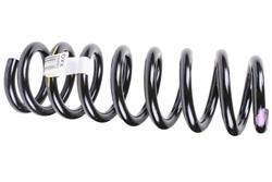 ACDelco GM Genuine Parts Coil Springs for 2015-2022 CANYON, COLORADO - 23426904