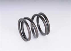 ACDelco - Automatic Transmission Piston Release Springs for 2002-2003 MONTANA, SILHOUETTE, VENTURE - 24208449