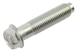 ACDelco Bolts and Screws 24276485