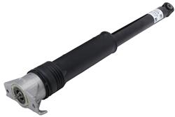 ACDelco GM Genuine Parts Shocks and Struts for 2017-2019 CRUZE - 39040204