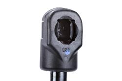 ACDelco - Lift Supports for 2021-2026 TRAILBLAZER - 42726523