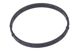 ACDelco Throttle Body Gaskets 55490568