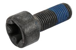 ACDelco Bolts and Screws 55559650