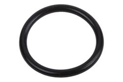 ACDelco Water Neck Gaskets and O-Rings 55570238