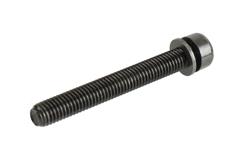 ACDelco GM Genuine Parts Replacement Bolts 55570291
