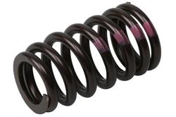 ACDelco - Valve Springs for 2011-2015 CRUZE, 2016 CRUZE LIMITED, 2012-2018 SONIC - 55571551
