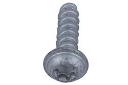 ACDelco Bolts and Screws 55573059