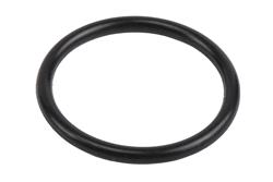 ACDelco Axle and General Purpose Seals 84392097