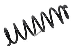 ACDelco Coil Springs 84479870