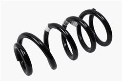 ACDelco GM Genuine Parts Coil Springs for 2019 SILVERADO 1500 - 84594899