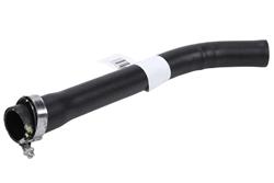 ACDelco Fuel Tank Filler Hoses 84639337