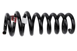 ACDelco GM Genuine Parts Coil Springs for 2022-2025 CT5 - 85516879